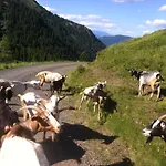 Farma Straniger Alm Stranig