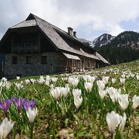 Straniger Alm *