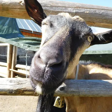 Straniger Alm Stranig