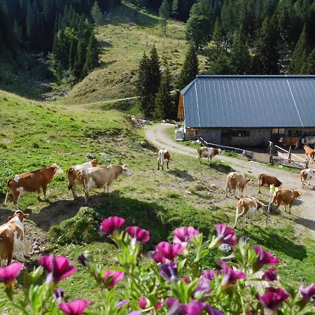 Straniger Alm