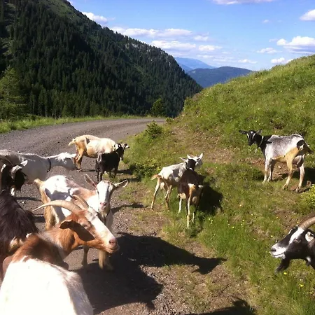 Κατάλυμα σε φάρμα Straniger Alm Stranig