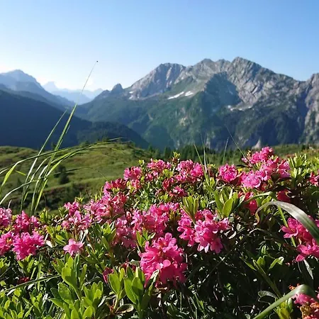 Straniger Alm Stranig