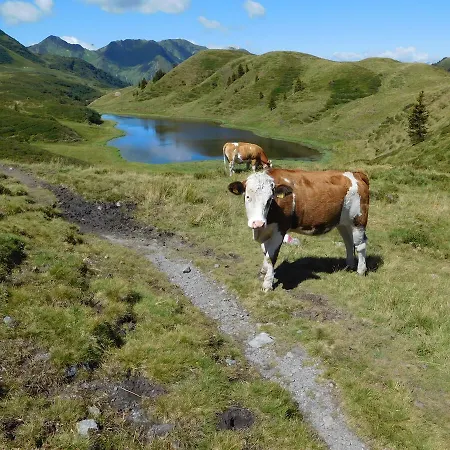 Farmház Straniger Alm *