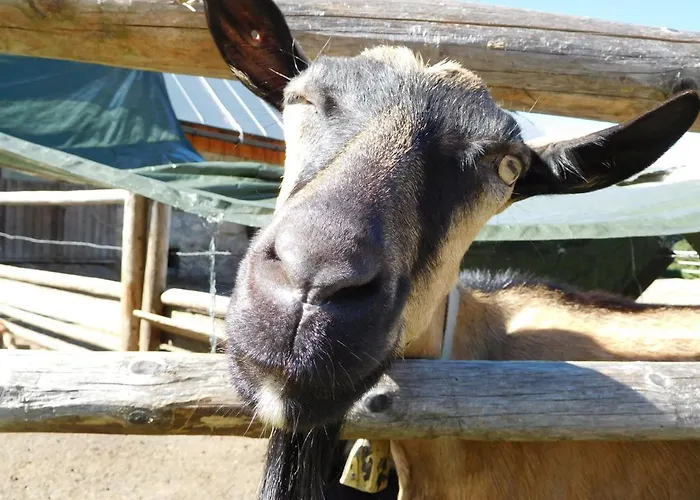 Straniger Alm Stranig