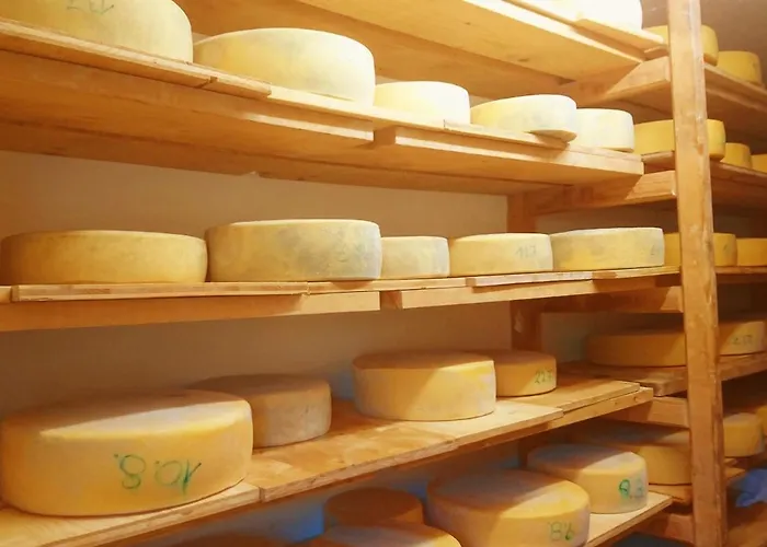 Séjour à la ferme Straniger Alm Stranig