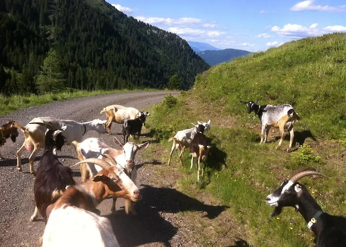 Feriegård Straniger Alm Stranig