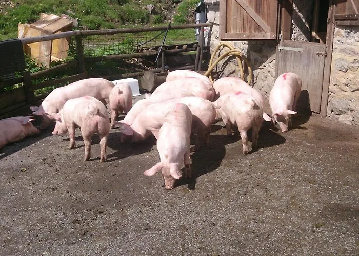 Bauernhof Straniger Alm