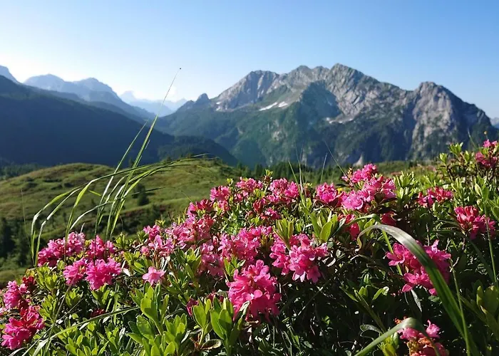 Straniger Alm Stranig