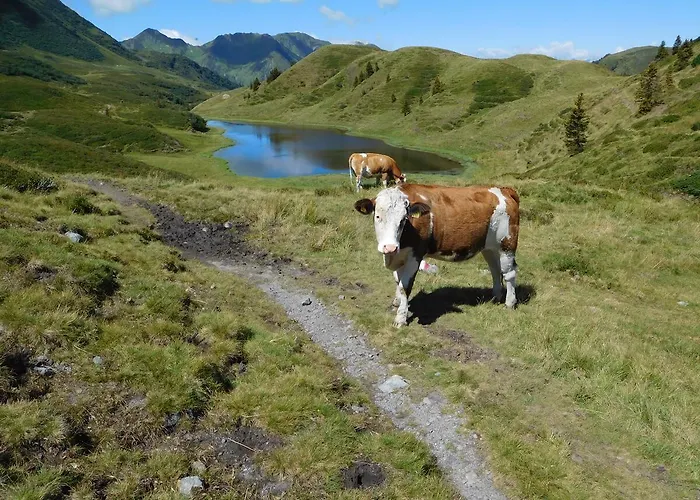 Feriegård Straniger Alm *